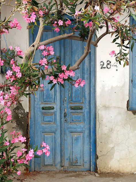 Creta-Sissi-Door.02 | Amorakin | Flickr Blue Door Painting, Door With Flowers Painting, Aesthetic Door Drawing, Puertas Aesthetic, Doors With Flowers, Pictures Of Doors, Door With Flowers, Villa Patio, Door Drawing