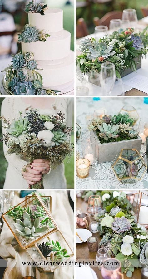 Wedding Arch Succulents, Succulent Wedding Decorations Wedding Table Decor, Wedding Flowers With Succulents, Succulent And Flower Bouquet, Succulent Wedding Table Centerpieces, Succulent Wedding Flowers, Succulent Arch Wedding, Succulent Arrangements For Weddings, Succulents Wedding Decor