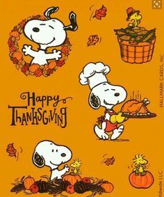 Snoopy Happy Thanksgiving Pictures, Photos, and Images for Facebook, Tumblr, Pinterest, and Twitter Snoopy Thanksgiving, Thanksgiving Snoopy, Peanuts Thanksgiving, Happy Thanksgiving, Pumpkins, Greeting Card, Snoopy, Thanksgiving, Orange