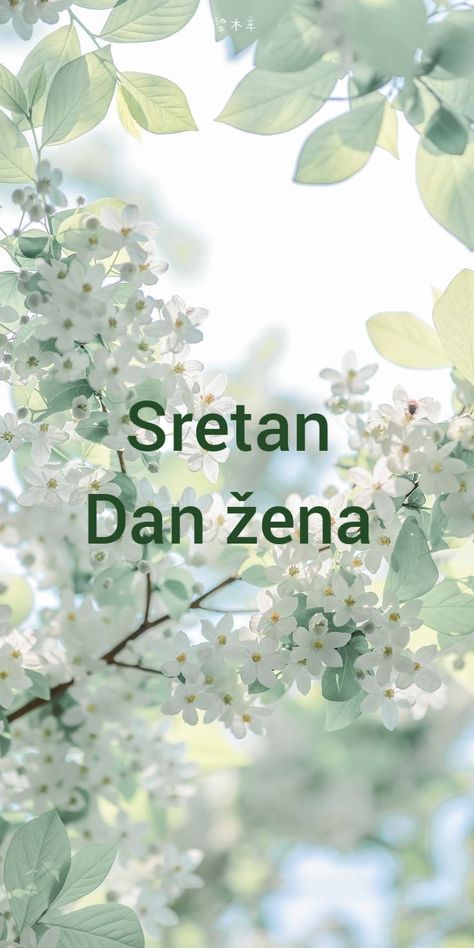 Dan Žena, Dan Zena, Dobro Jutro, Love Images, Humor, Quick Saves, Humour