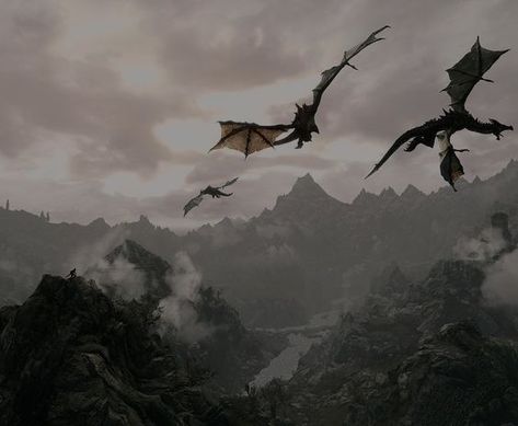 Guitar Desktop Wallpaper, Wings Wallpaper, Empire Of Storms, Targaryen Aesthetic, Fourth Wing, Dragon Rider, Wings Of Fire, Fantasy Dragon, Fantasy Aesthetic