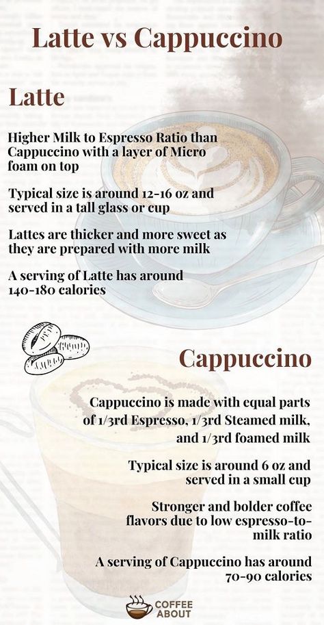 Cappuccino vs Latte Barista Recipe, Cafe Barista, Espresso Drinks, Milk Foam, Coffee Drink Recipes, Coffee Flavor, Espresso Coffee, Coffee Drinks, Cappuccino