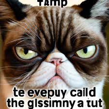 Grumpy cat meme - AI Generated Artwork - NightCafe Creator Grumpy Cat Meme, Cat Meme, Cafe Logo, Art Generator, Free Fun, Grumpy Cat, Cool Artwork, Beautiful Artwork, Cat Memes