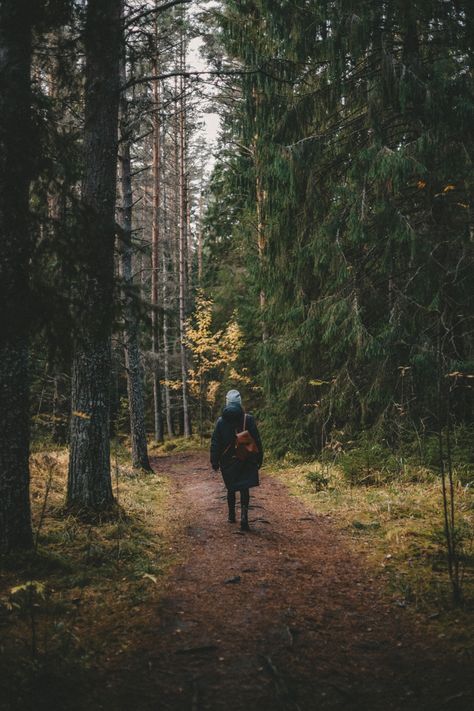 Canon EOS R, 50 mm Canon R50 Photography, Canon R50, Canon Eos R, Estonia, Canon Eos, Bradley Mountain, Eos, National Park, Canon