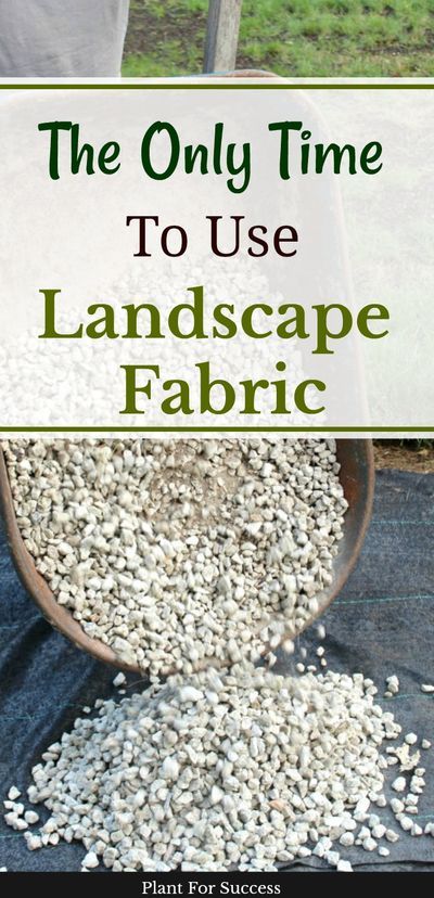 Fabric Landscape, Rock Mulch, Trees Landscaping, Landscaping Rock, Landscaping Around Trees, Landscaping With Large Rocks Front Yard, Landscaping With Large Rocks Natural, Mulch Landscaping, Weed Barrier