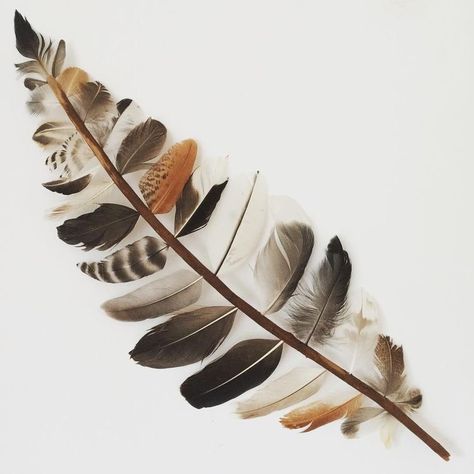 Takken Decor, نباتات منزلية, Deco Nature, Driftwood Crafts, Feather Crafts, Creation Deco, Feather Art, Garden Art Sculptures, Rustic Garden Decor