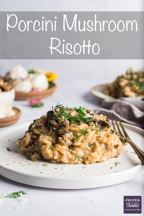 Fresh Porcini Mushroom Recipes, Best Mushroom Risotto Recipes, Dried Porcini Mushroom Recipes, Porcini Mushroom Risotto, Porcini Mushroom Pasta, Dried Mushrooms Recipes, Mushroom Rositto, Fancy Mushroom Recipes, Porcini Recipes