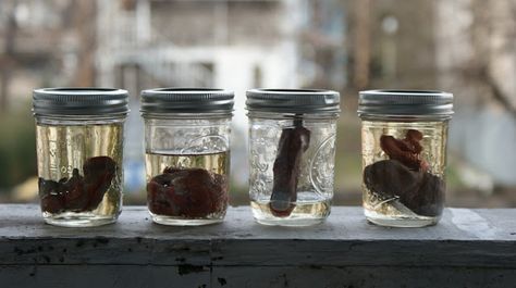 American Horror Story Inspired DIY Preserved Organs DIY - Basement Horrors in Mason Jars - Great Craft Project for Halloween Spooky Diy Halloween Decor, Halloween Apothecary Labels, Diy Halloween Home Decor, Horror Crafts, Ball Canning Jars, Halloween Apothecary, Halloween Craft Projects, Halloween Diy Crafts, Family Crafts