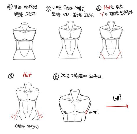 Male Body Drawing, Manga Tutorial, Anatomy Tutorial, Body Drawing Tutorial, 남자 몸, Anatomy Sketches, Body Reference Drawing, Animation Tutorial, Body Anatomy