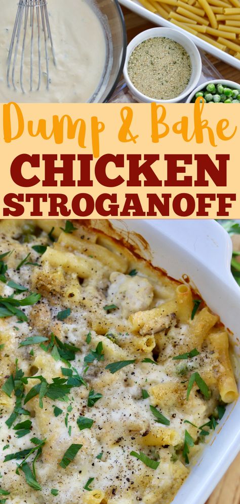 Baked Chicken Stroganoff, Dump And Bake Dinners, Dump And Bake Recipes, Dump And Bake Chicken, One Dish Chicken, Dump Chicken, Dump And Bake, Quick Family Meals, Chicken Stroganoff