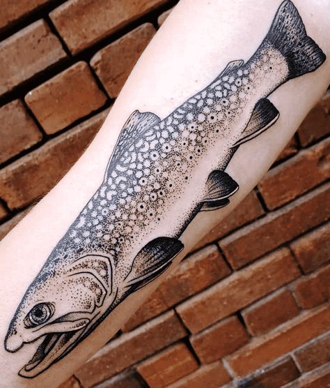 Brooke Trout Tattoo, Lake Trout Tattoo, Cutthroat Trout Tattoo, Steelhead Tattoo, Trout Tattoos For Men, Trout Tattoo Design, Appalachia Tattoo, Brook Trout Tattoo, Sierra Tattoo