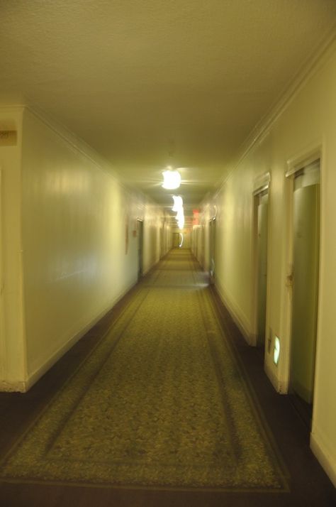 The Shining Hallway. Scarey!   Pennsylvania Hotel New York. # Pin++ for Pinterest # Hotel Pennsylvania, Chaotic Energy, Holiday Places, I Love Ny, Design Essentials, The Shining, Places Ive Been, Pennsylvania, Happy Halloween