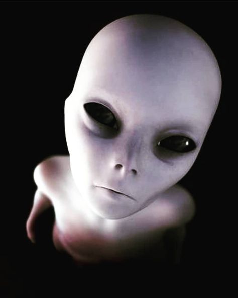 Alien Pics, Realistic Alien, Space Angels, See In, Alien Pictures, Alien Species, Cemetery Statues, Alien Artwork, Alien Drawings