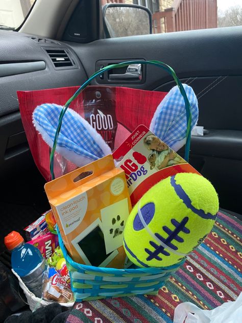 Dog Easter Basket Ideas, Easter Basket For Dogs, Puppy Easter Basket, Boyfriend Easter Basket, Dog Easter Basket, Dog Gift Basket, Easter Basket Themes, Dog Easter, Valentine Baskets