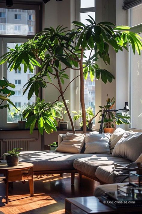 We’re giving you more apartment designs that allow you to have an indoor tree in a modern and stylish way. Plant In Interior Design, Stylish Indoor Plants, Tall Plant Living Room, House Trees Indoor, Indoor Plant Living Room, Tree In House, Tree In Living Room, Indoor Tree Plants, Best Indoor Trees