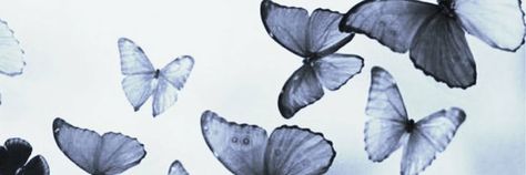 Blue Aesthetic Fb Cover, Butterfly Aesthetic Twitter Header, Blue Butterfly Aesthetic Icon, Butterfly Medium Widget, Butterfly Notion Cover, Blue Butterfly Header, Butterfly Discord Banner, Butterfly Header Aesthetic, Blue Butterfly Widget