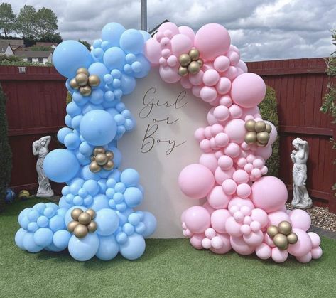 DIY GENDER REVEAL BALLOON ARCH KIT DIY BABY SHOWER BALLOON ARCH KIT #balloonarch #balloongarland #balloondecor #balloonbackdrop #genderrevealparty #babyshowerthemes #shopsmall #ohbaby #itsaboy #itsagirl #twinkletwinklelittlestar #partythemes #partyideasforkids #shopsmallbiz #partydecoration #partydeco #partydecorationideas #ohbaby Gender Reveal Balloon Arch, Gender Reveal Balloon Garland, Baby Shower Balloon Arch, Baby Gender Reveal Party Decorations, Pregnancy Pics, Gender Reveal Party Theme, Idee Babyshower, Garland Ideas, Gender Reveal Balloons