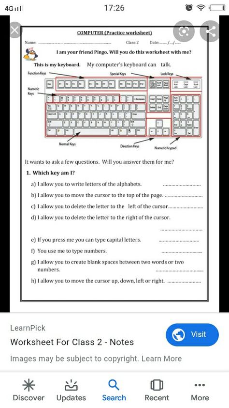 Facebook Profile Template, Teaching Colours, Computer Worksheet, Computer Activities For Kids, Computer Exam, Computer Lab Lessons, Computer Lab Classroom, Typing Lessons, Lkg Worksheets