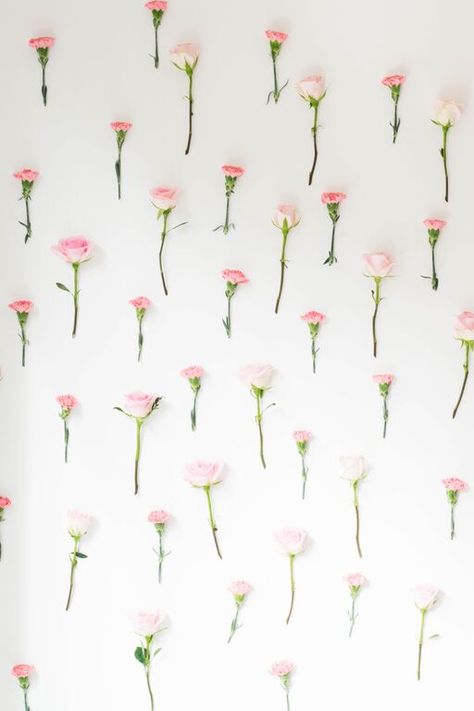 Wooden Wall Decor Ideas, Art Deco Glamour, Cake For Breakfast, Flower Room, Flower Wall Backdrop, Background Diy, Blush Tones, Floral Nursery