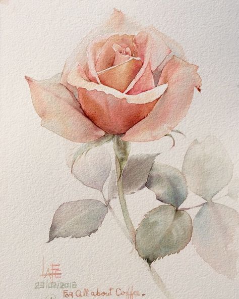 Rose Drawing, Watercolor Plants, Seni Cat Air, Watercolor Flower Art, 수채화 그림, Plant Drawing, Lukisan Cat Air, Watercolor Flowers Paintings, Rose Art