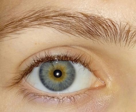 Central Hetrochormia Eyes, Blue Heterochromia Eyes, Central Heterochromia Eyes Green Blue, Blue Eyes Heterochromia, Central Heterochromia Eyes, Central Heterochromia, Heterochromia Eyes, Blue Eyes Aesthetic, Painting Eyes