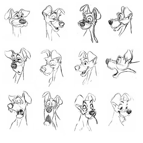 “Lady and the Tramp” | © Walt Disney Animation Studios* • Blog/Website | (www.disneyanimation.com) • Online Store | (http://www.disneystore.com) ★ || CHARACTER DESIGN REFERENCES™ (https://www.facebook.com/CharacterDesignReferences & https://www.pinterest.com/characterdesigh) • Love Character Design? Join the #CDChallenge (link→ https://www.facebook.com/groups/CharacterDesignChallenge) Share your unique vision of a theme, promote your art in a community of over 50.000 artists! || ★ Disney Dog Drawing, Disney Style Animals, Dog Expressions Drawing, Dog Character Design, Disney Character Design, Concept Art Disney, Expressions Art, Character Design Disney, Drawing Disney