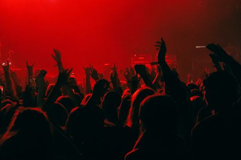 A crowd of people at a concert with their hands in the air photo – Free Ziggo dome Image on Unsplash Crowd At Concert, Snow Wallpaper Hd, Christmas Images Hd, Dan Snow, A Crowd Of People, Concert Crowd, Crowd Of People, Rockstar Gf, Air Photo