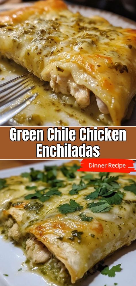 Delicious Green Chile Chicken Enchiladas Recipe – Quick and Easy! Chicken Enchiladas Not Spicy, Cabbage Enchiladas Chicken, Easy Healthy Dinner Mexican, Low Carb Green Chicken Enchiladas, Quick Enchiladas Chicken, Green Chiles Chicken Enchiladas, Enchilada Recipes Chicken, Green Chile Chicken Tortilla Soup, Authentic Mexican Cuisine