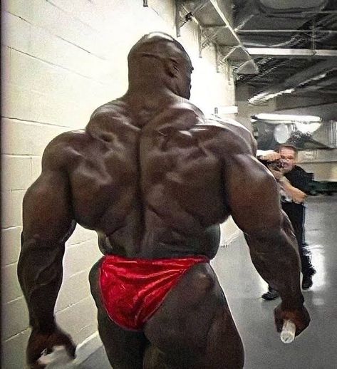 Name the king 👌🔥👀 #back #bodybuilder #bodybuilding Muscle Transformation, Gym Wallpaper, Bodybuilding Pictures, Ronnie Coleman, Gym Art, Beefy Men, Body Building Men, Gym Inspiration, Fitness Bodybuilding