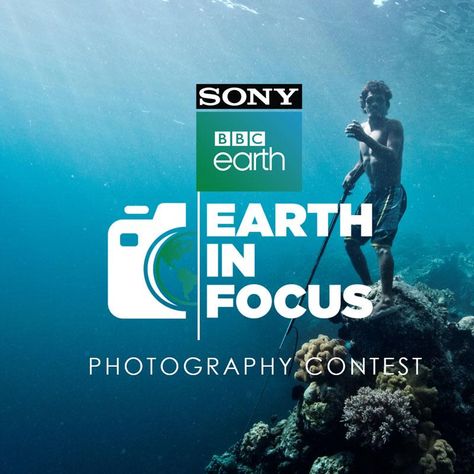 Sony BBC Earth Successful Photography, Adidas Art, Bbc Earth, World Photography Day, New Television, Entertainment Channel, The Art Of Storytelling, Photography Contest, Photography Day