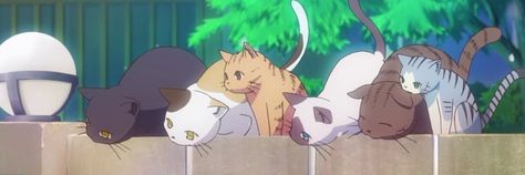 cats anime twitter header Cute Twitter Headers, Cute Headers For Twitter, Twitter Header Pictures, Twitter Header Aesthetic, Cute Banners, Twitter Header Photos, Cute Headers, Twitter Banner, Header Pictures