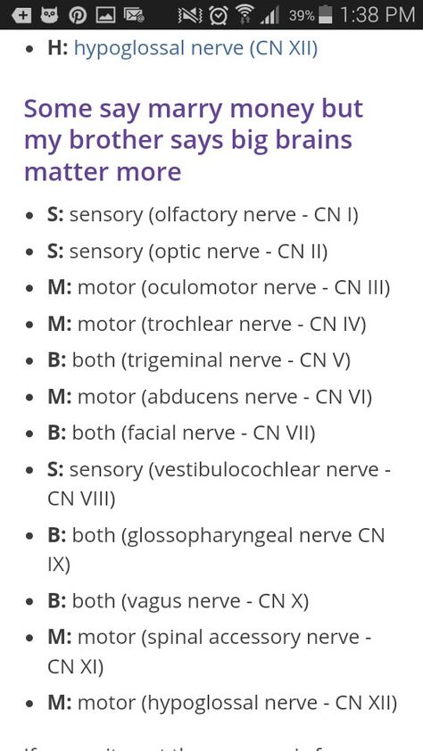 Cranial Nerves Notes, Medical Mnemonics Anatomy, Emt Mnemonic, 12 Cranial Nerves Mnemonic, 12 Cranial Nerves, Nursing School Studying Cheat Sheets, Cranial Nerves Mnemonic, Nursing School Essential, Nursing Study Guide