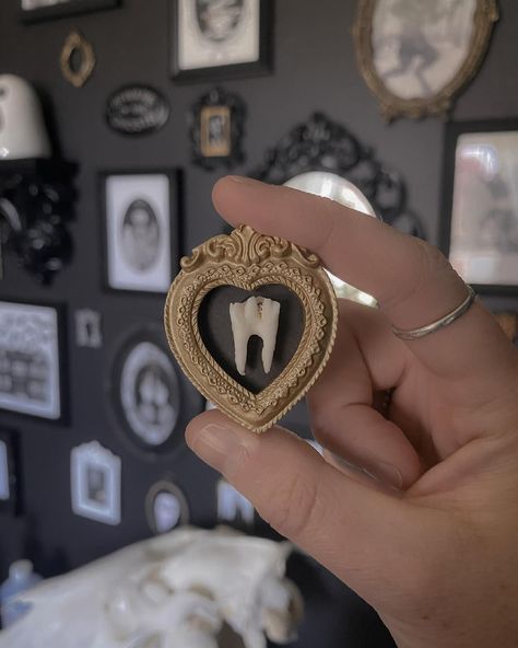 Sara 🕷️ | The cutest little tooth from @jaimelesdents arrived today 🦷 . . . . . . . #tooth #coyotetooth #taxidermy #taxidermyart #macabre… | Instagram Oddities Decor Diy, Diy Curiosities, Oddities Wall, Faux Taxidermy Diy, Bedroom Goth, Weird Taxidermy, Framed Taxidermy, Oddity Art, Bone Decorations