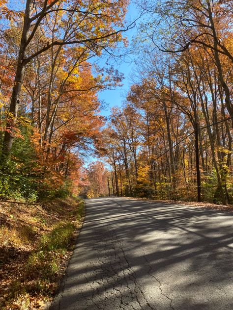 Northern Virginia Aesthetic, Virginia In The Fall, West Virginia Aesthetic, 2024 Aspirations, Virginia Nature, Virginia Aesthetic, Iceberg Model, Charles Town West Virginia, West Virginia Mountains