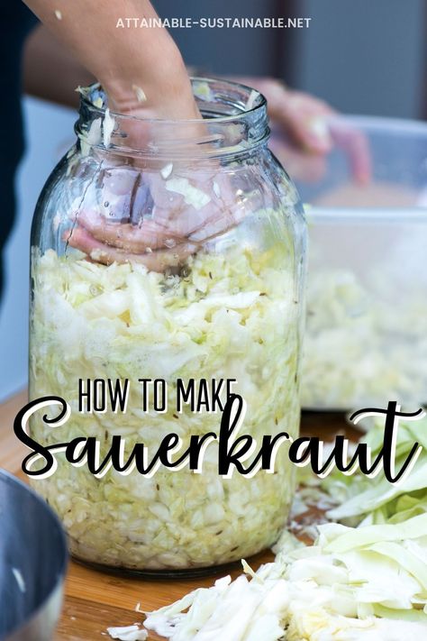 hand pressing cabbage into a large glass jar Homemade Sauerkraut Recipes Fermenting, Sauerkraut Recipes For Canning, Diy Sourkrout, Canning Saurkraut Recipes, Fresh Sauerkraut Recipes, Saurkraut Recipes Homemade Quick, How To Make Sauerkraut In A Jar, How To Make Homemade Sauerkraut, How To Cook Canned Sauerkraut