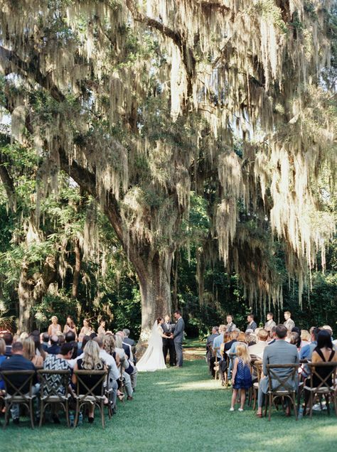 wedding under gorgeous Spanish moss | Cassidy Carson Moss Wedding, Golf Event, Golf Course Wedding, Spanish Moss, Southern Weddings, Fields Photography, Tree Wedding, Wedding Goals, Southern Wedding