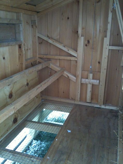 Chicken Roost, Wire Fencing, Chicken Poop, Chicken Coup, Plywood Floor, Coop Ideas, Coop Design, Best Chicken Coop, Chicken Coop Designs