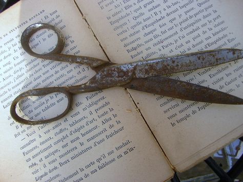 rusty scissors Vintage Scissors Aesthetic, Scissor Aesthetic, Rusty Scissors, Rusty Knife, Scissors Aesthetic, Vintage Scissors, Medical Aesthetic, Ap Art, Art Portfolio