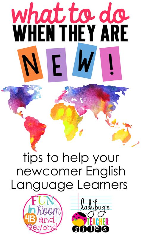 Tips to help your newcomer English Language Learners. #ELL #ESL Ell Students In The Classroom, Ell Classroom Ideas, Ell Learners, Teaching Ell Students, Ell Strategies, Ell Resources, English Language Development, Esl Ideas, Teaching English Language Learners