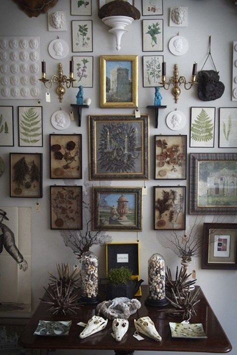 Victorian Bohemian Decor, Cabinet Of Curiosity, Eclectic Gallery Wall, Decor Studio, Gallery Wall Inspiration, Framed Pictures, Cabinet Of Curiosities, Boho Interior, Retro Home Decor