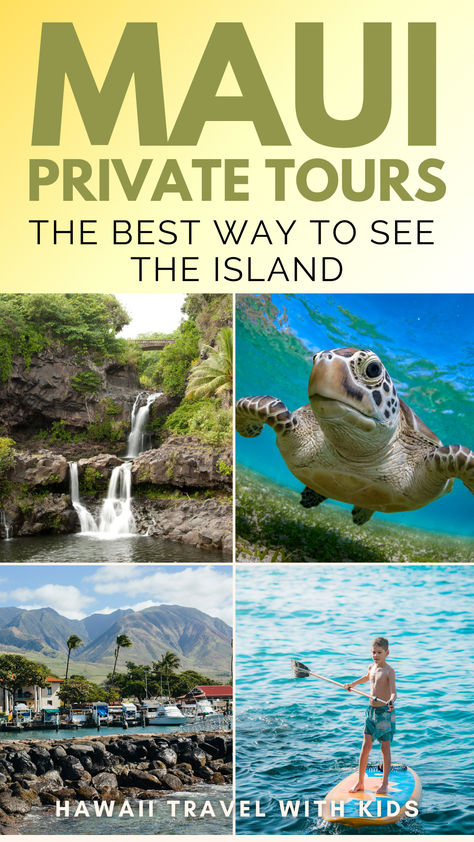 🌴✨ Dreaming of the ultimate Maui adventure? Dive into our top picks for 17 exclusive private tours you’ll absolutely love! From private beach escapades to hidden jungle treks, each tour offers a unique, intimate experience of Maui’s stunning landscapes. Click to explore the best ways to see Maui in style and create memories that last a lifetime! Best Us Beaches, Maui Tours, Europe Beaches, Maui Itinerary, Maui Hotels, Hawaii Things To Do, Trip To Maui, Wildlife Travel, Maui Travel