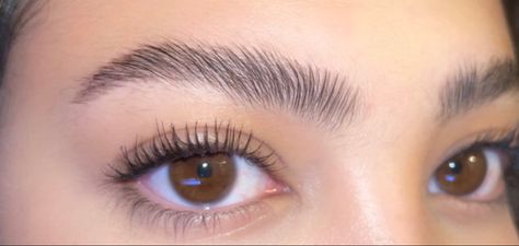 Anastasia Brow Freeze, Feathered Eyebrows, Feathered Brows, Brow Freeze, Feather Brows, Anastasia Brow, Brow Shaping, Brow Makeup, Beauty Stuff