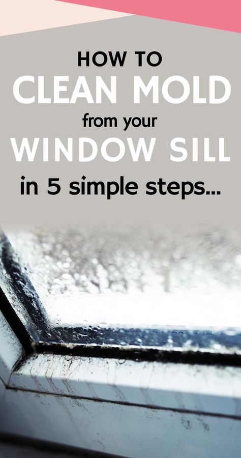 Windowsill Cleaning Hack, Cleaning Black Mold From Windows, Cleaning Window Seals, How To Clean Vinyl Window Frames, Best Way To Clean Window Sills, Window Seal Cleaning Tips, How To Clean Mold From Window Sills, Cleaning Window Sills, How To Clean Black Mold