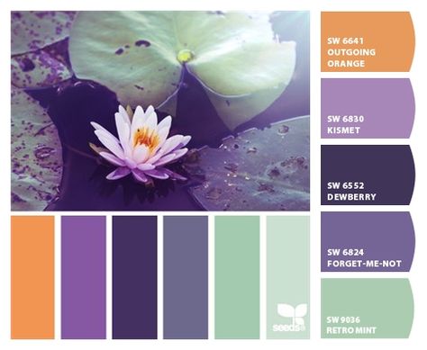 Paint colors from ColorSnap by Sherwin-Williams Mischievous Spring, Calm Colors, Seeds Color, Colour Swatches, Color Schemes Colour Palettes, Kampot, Green Vest, Color Palate, Design Seeds