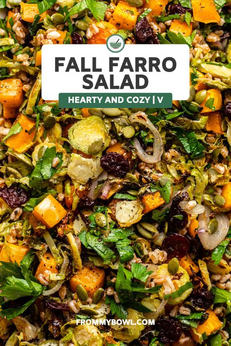 Fall Farro Salad, Easy Fall Salad, Salad With Butternut Squash, Farro Recipes, Pomegranate Vinaigrette, Apple Cider Vinaigrette, Apple Walnut Salad, Cider Vinaigrette, Fall Salad