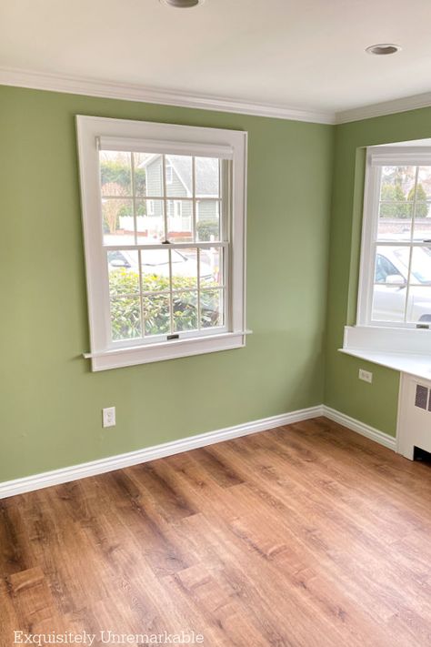 Green Painted Living Room Green Shade Wall Paint, Pistachio Green Wall, Sage Green Basement Walls, Warm Light Green Paint Colors, Apple Green Paint Colors, Soft Green Room, Bright Living Room Paint Color Ideas, Green Walls In Kitchen, Light Green Walls Living Room