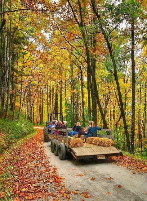 Hay Ride Ideas, Hay Ride, Fall House, Herbst Bucket List, Harvest Fest, Fall Dates, Fall Fest, Home Cozy, Autumn Magic