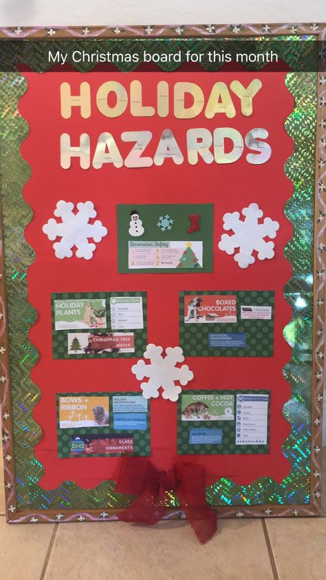 Holiday Hazards educational board Vet Office Manager, Veterinary Christmas Decor, Veterinarian Bulletin Board Ideas, Vet Clinic Christmas Decorations, Vet Bulletin Board Ideas, Veterinary Bulletin Board Ideas, Vet Clinic Bulletin Board Ideas, Vet Clinic Christmas Decor, Veterinary Clinic Ideas