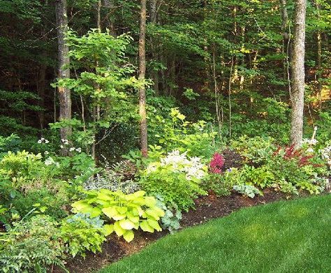 Landscape Design in Wooded Areas | KG Landscape Management Playground Backyard Landscaping, Wooded Backyard Landscape, Fern Garden, Large Backyard Landscaping, Wooded Area, Patio Grande, Wooded Landscaping, Desain Lanskap, Modern Garden Design