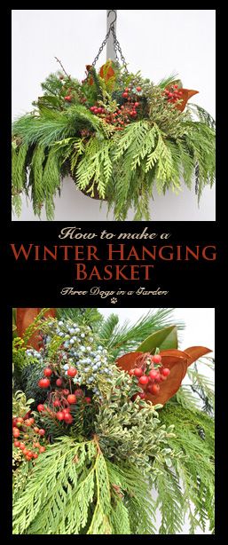 Winter Hanging Baskets, Hanging Baskets Diy, Christmas Hanging Baskets, Creative Gardens, Outdoor Christmas Planters, Holiday Planter, Winter Planter, Winter Arrangements, Christmas Pots